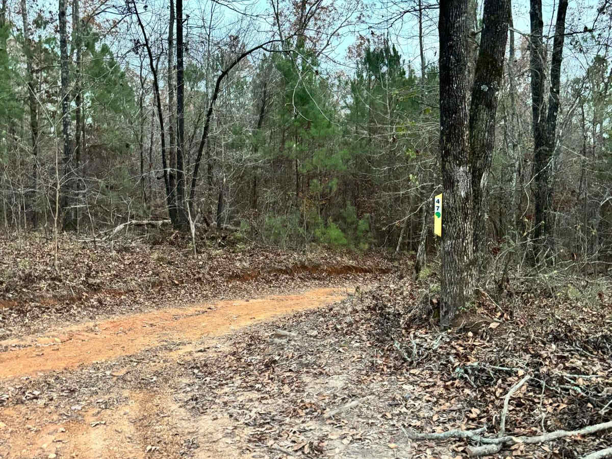 47 trail photo