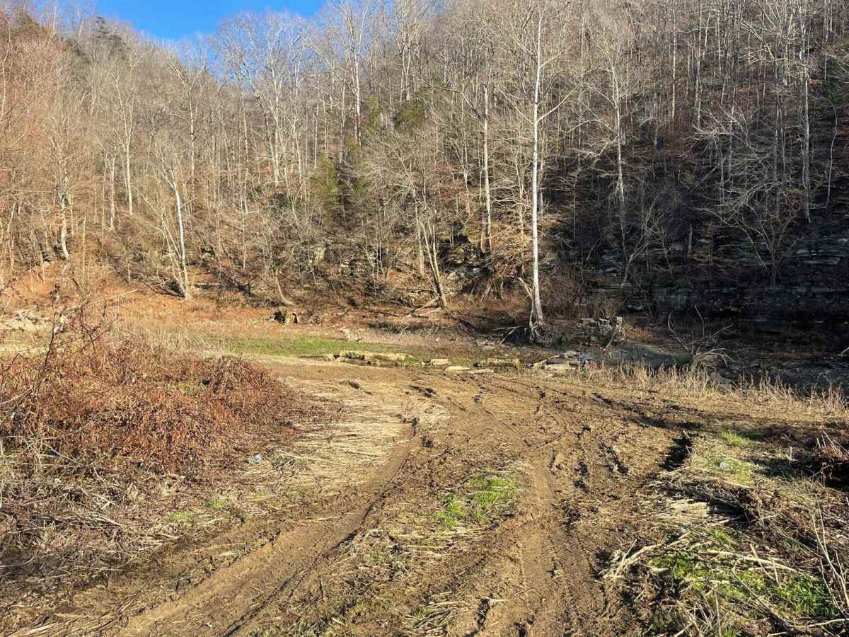 Oil Center WMA Main Via Ringgold Road photo 3
