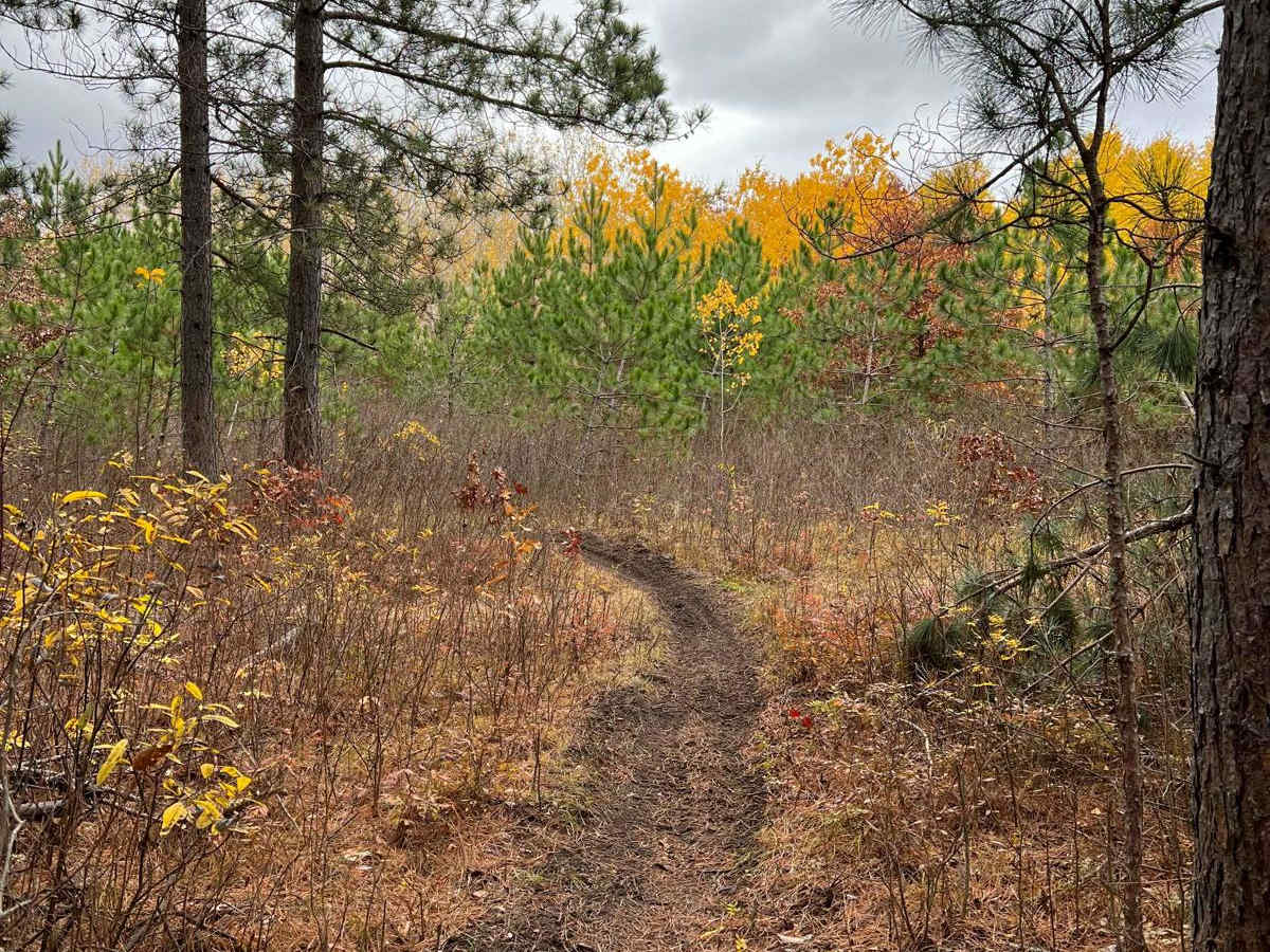 Huntersville Southeast Leg photo 4
