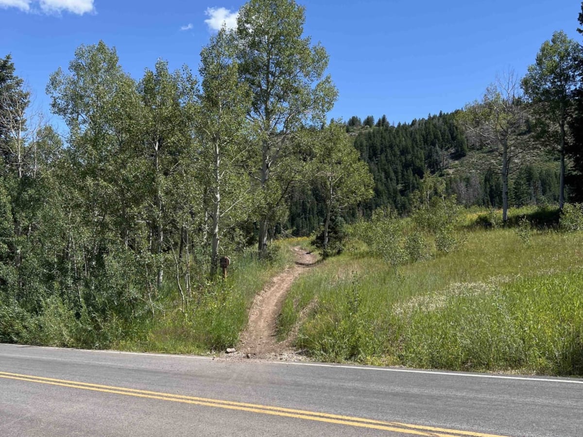 South Fork Little Deer Creek (2252) photo 6