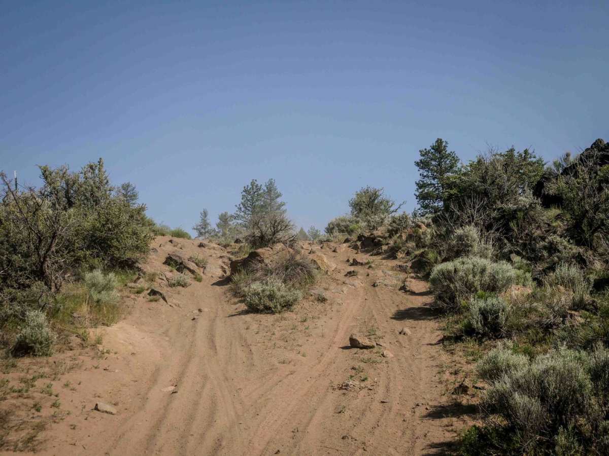 14 trail photo