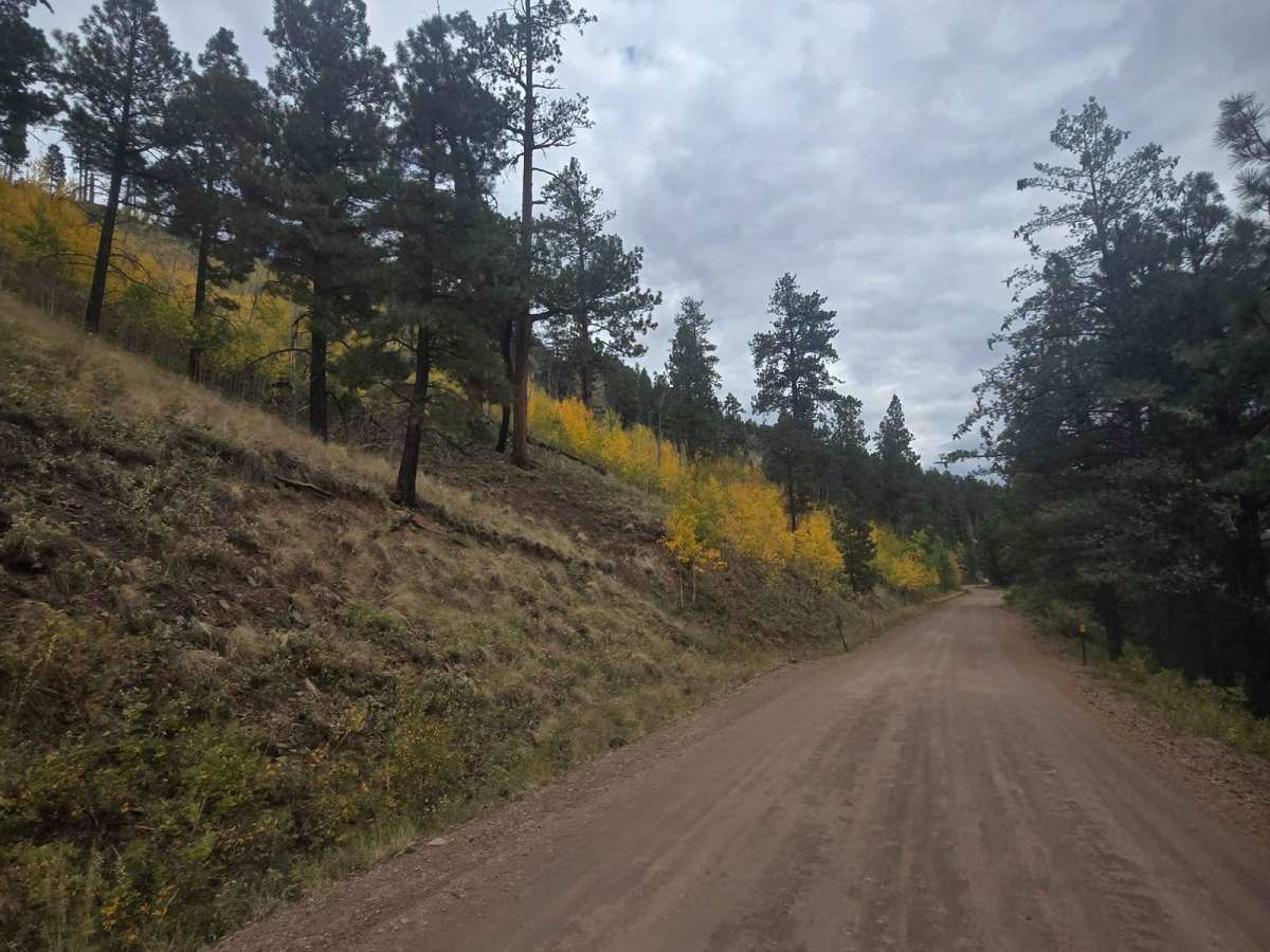 East Fork photo 4