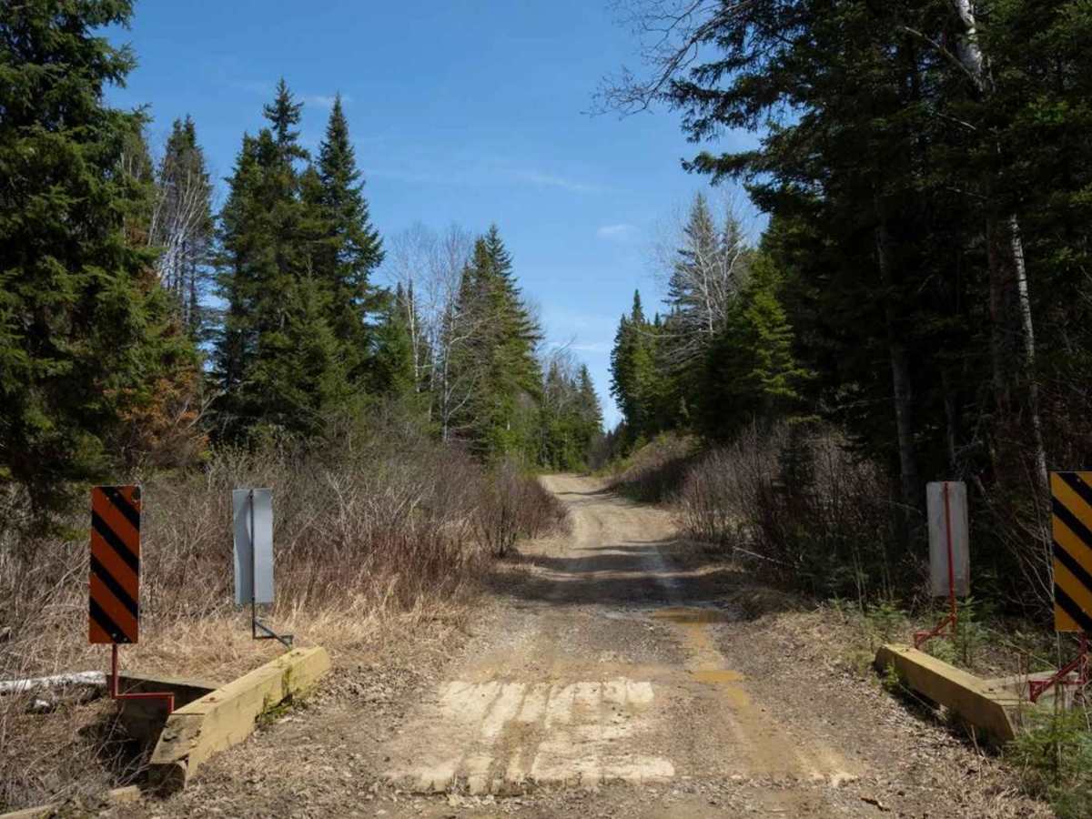 Island Lake West Trail photo 3