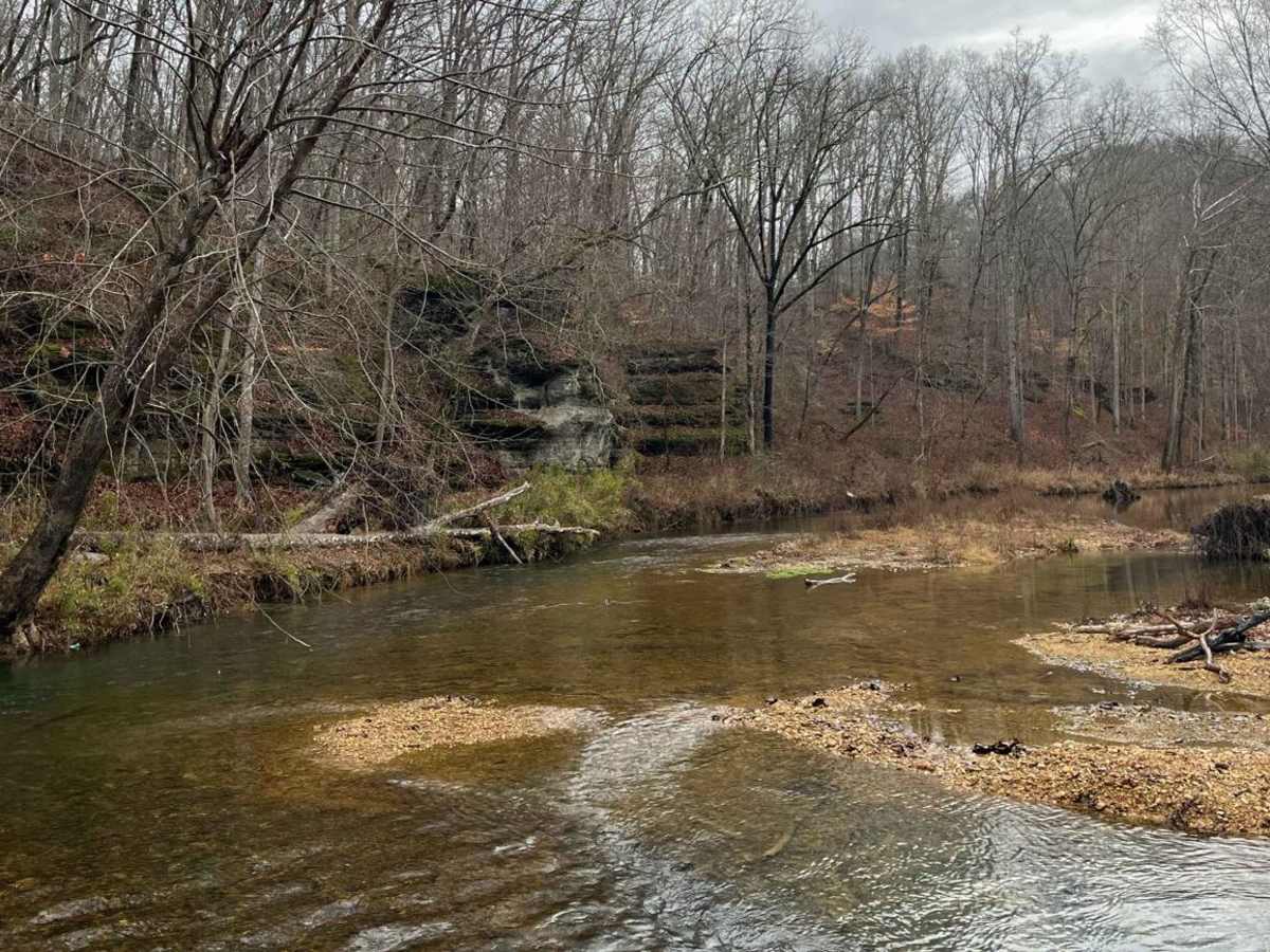 Old Mill Creek Road photo 4