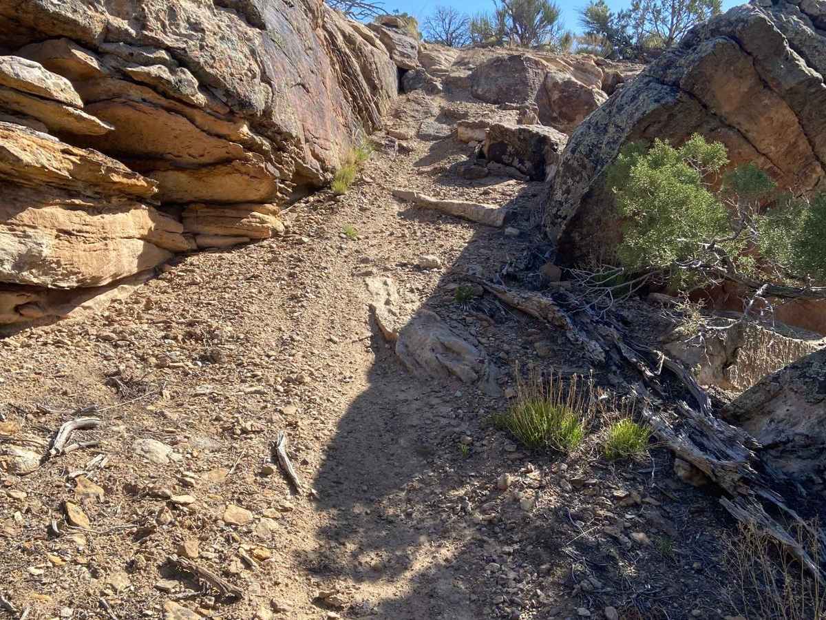 Rampage trail photo