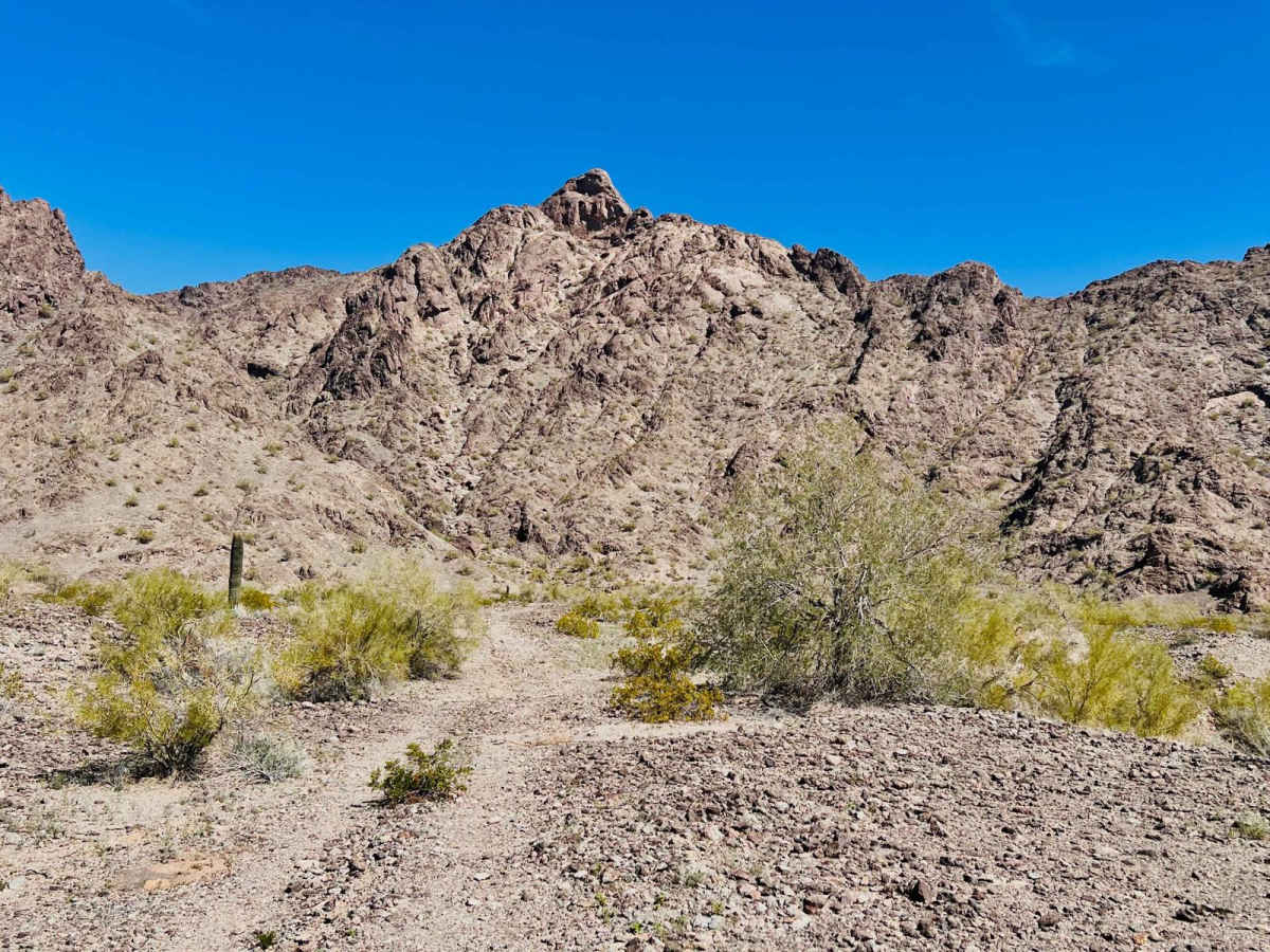 Rennir Mountain - Old Highway 80 trail photo