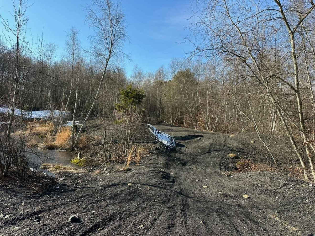 Locust Gap 19 photo 3