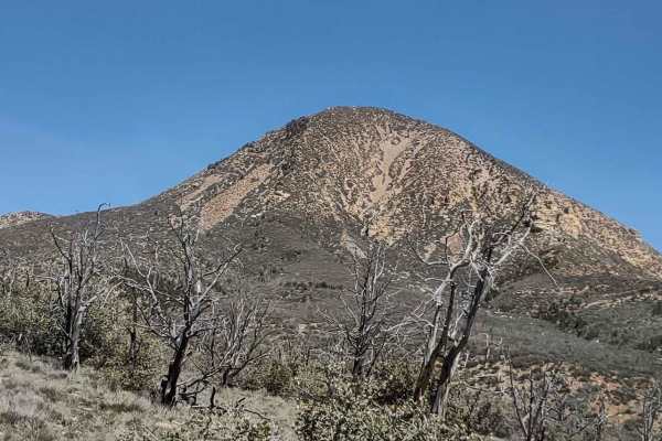 Billy Goat Byway to Jackson Peak