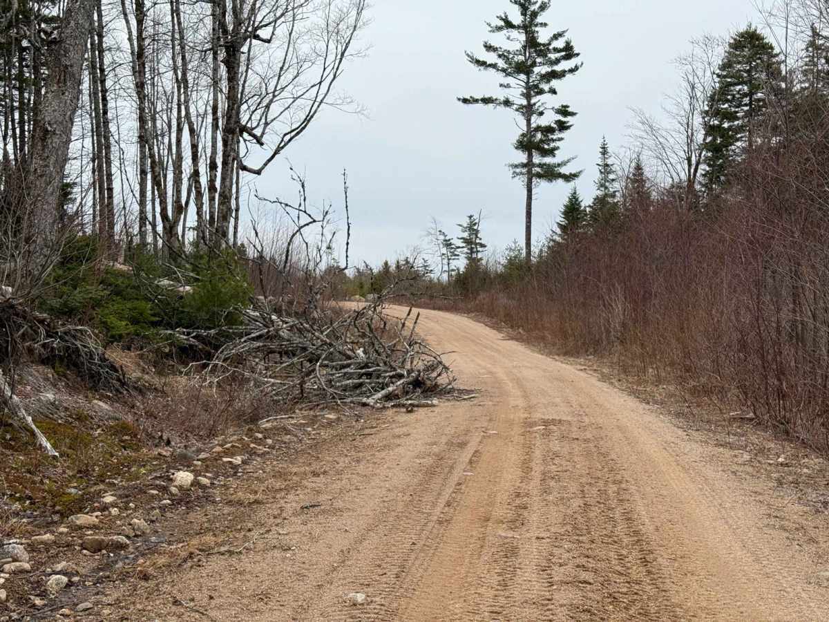 Plane Crash Trail photo 6