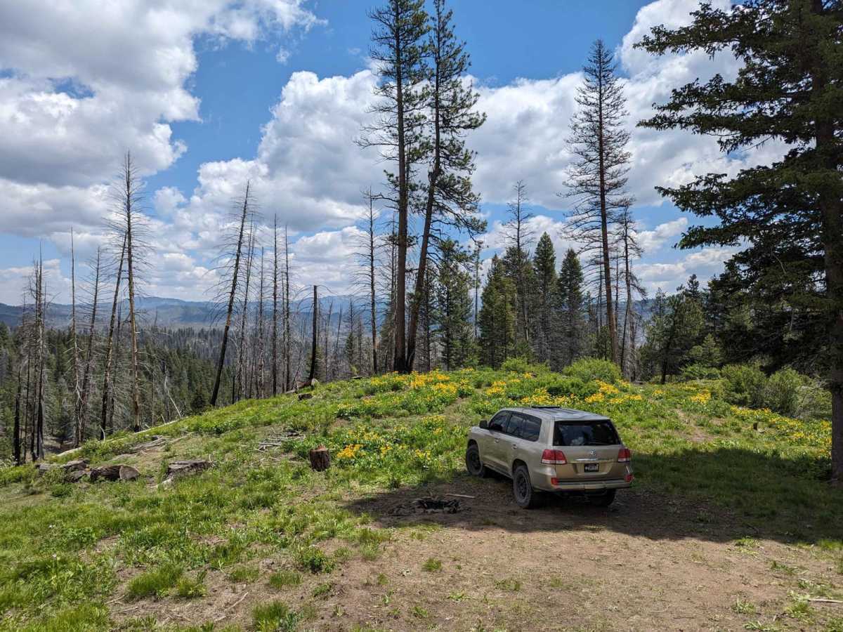Spur 25LM/25LL to Mountain Campsite photo 6