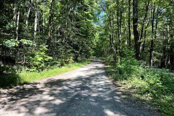 McIntyre Road