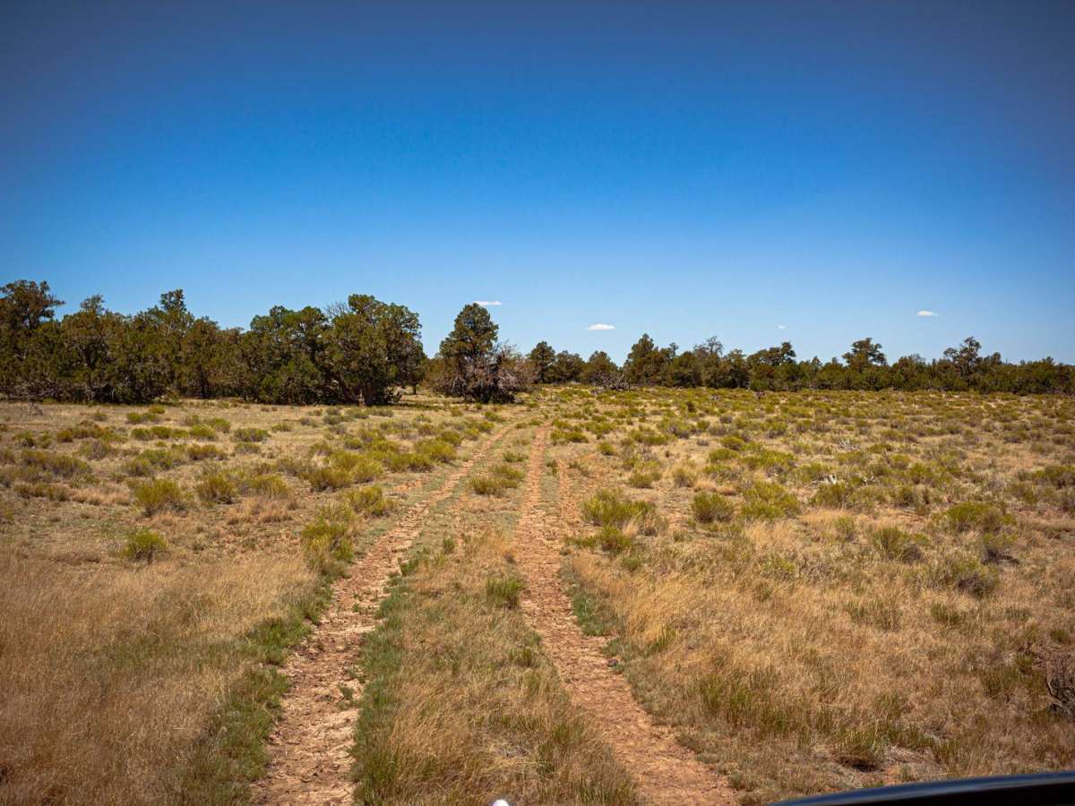 Surrounding Smoot - FR2018 photo 5