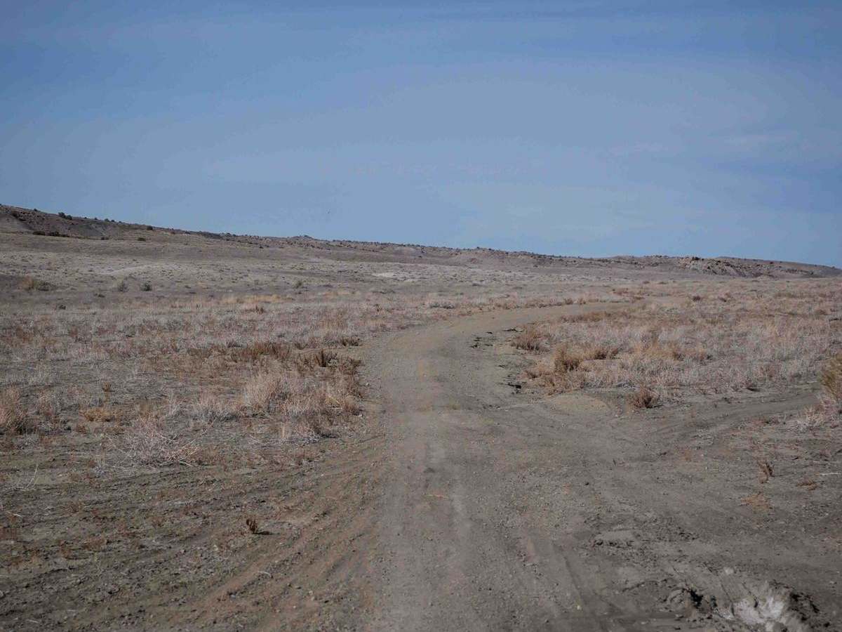Fast Trail photo 4