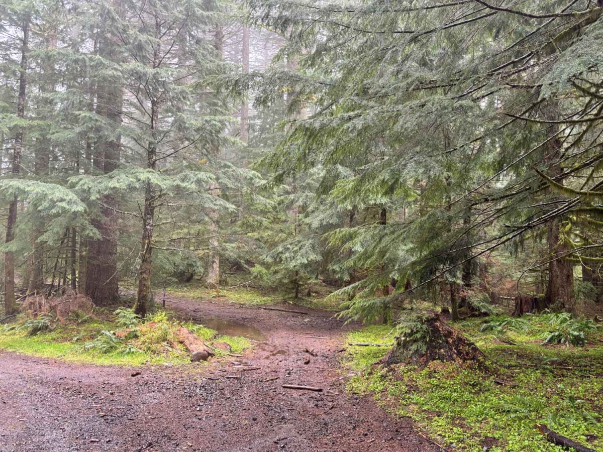 Bell Mountain to Rye Mountain photo 2