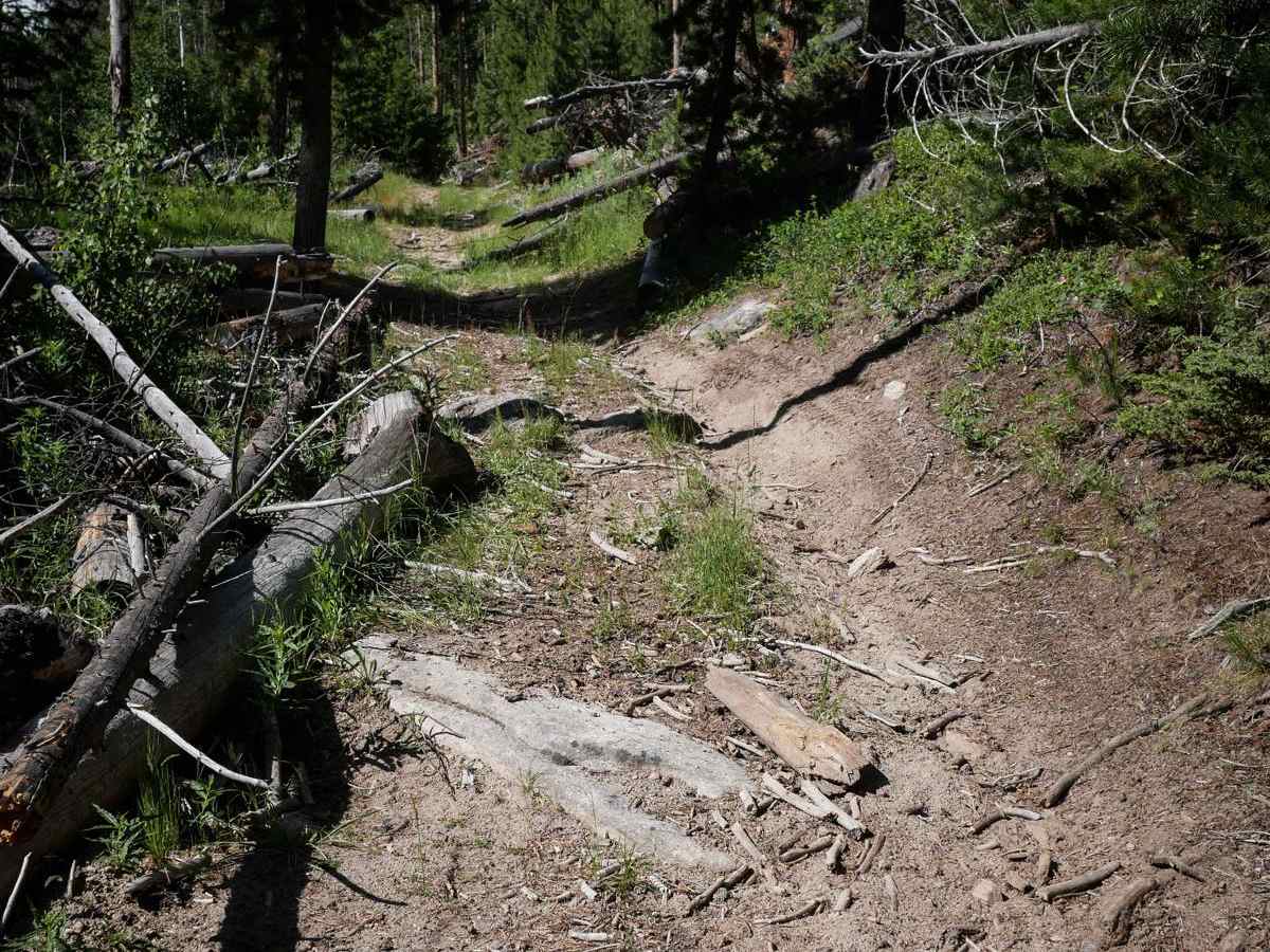 Lion Gulch photo 5