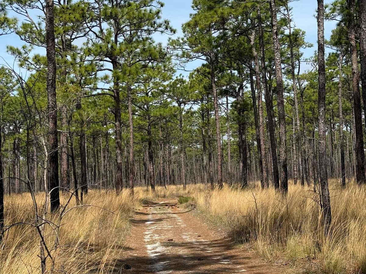 Pettiford Creek Trail 14 photo 2