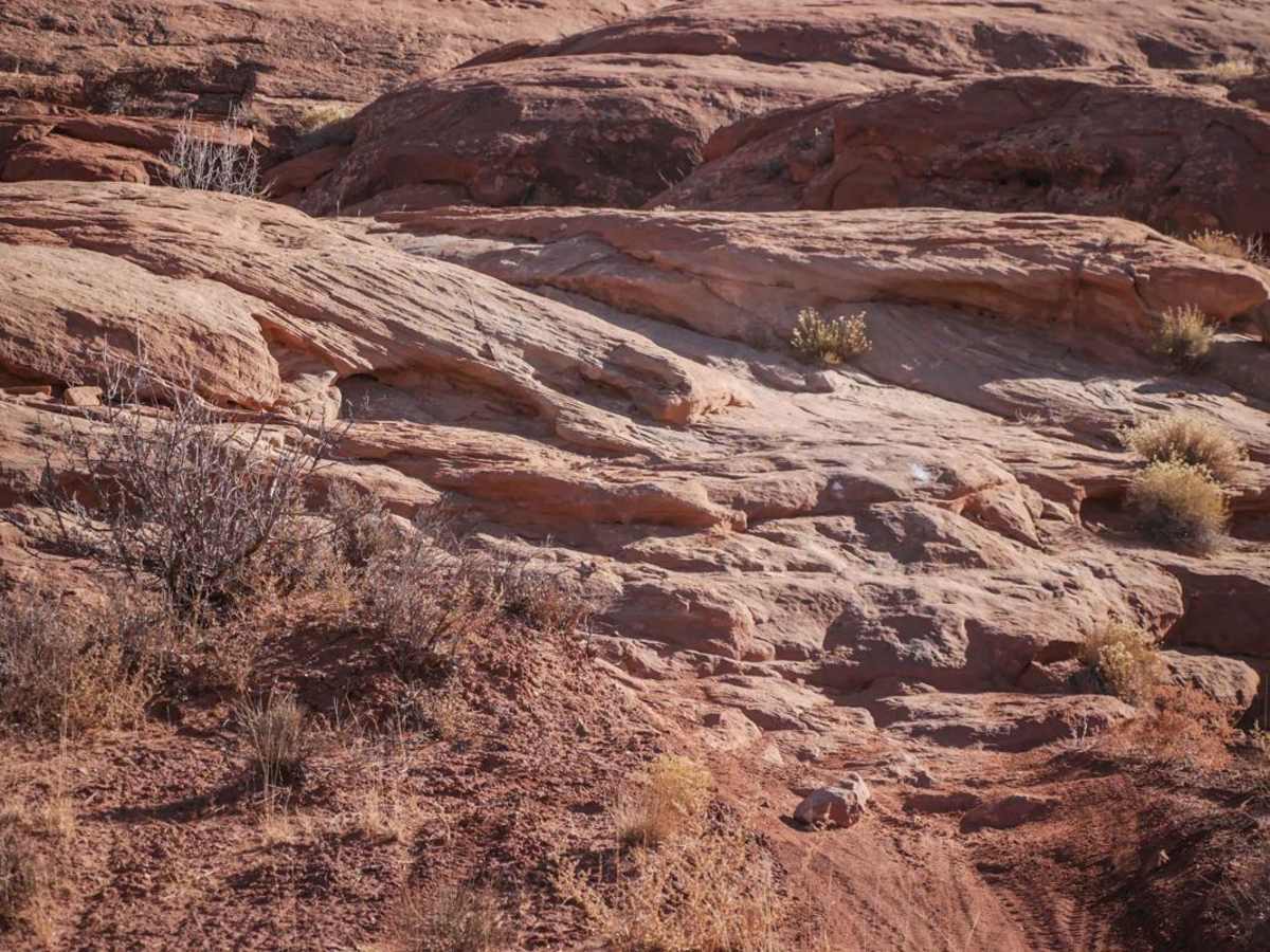 Red Butte Trail photo 2
