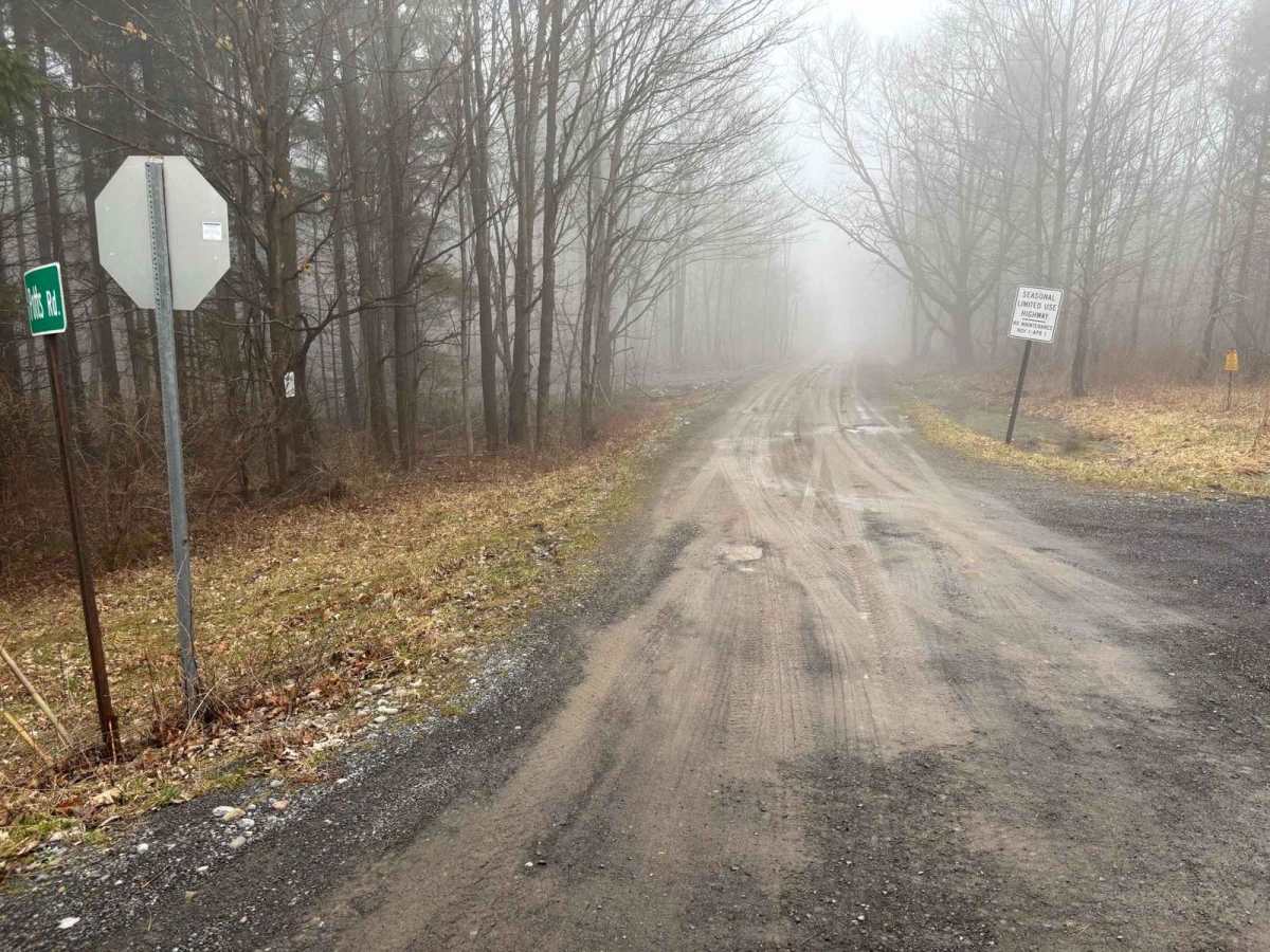 Potts Road trail photo