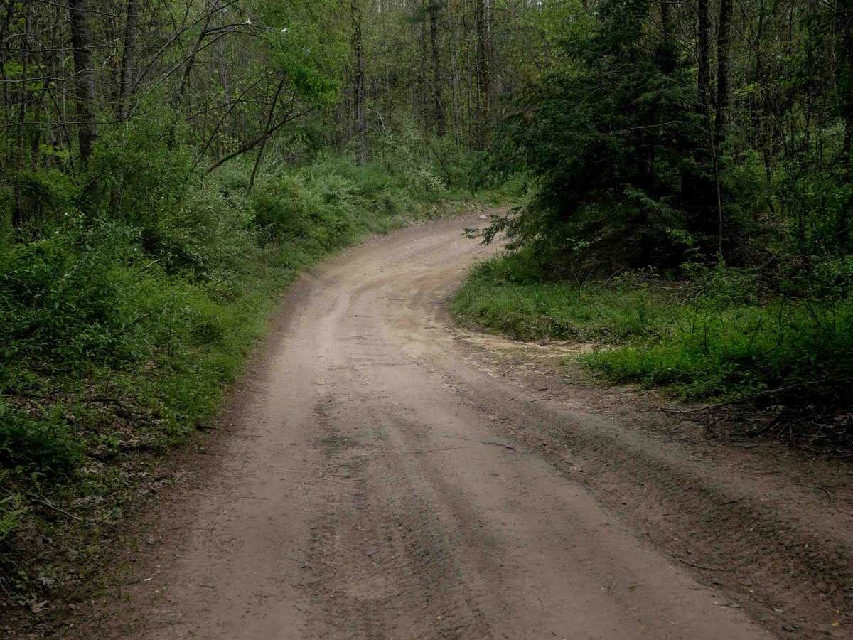 P64 photo 4