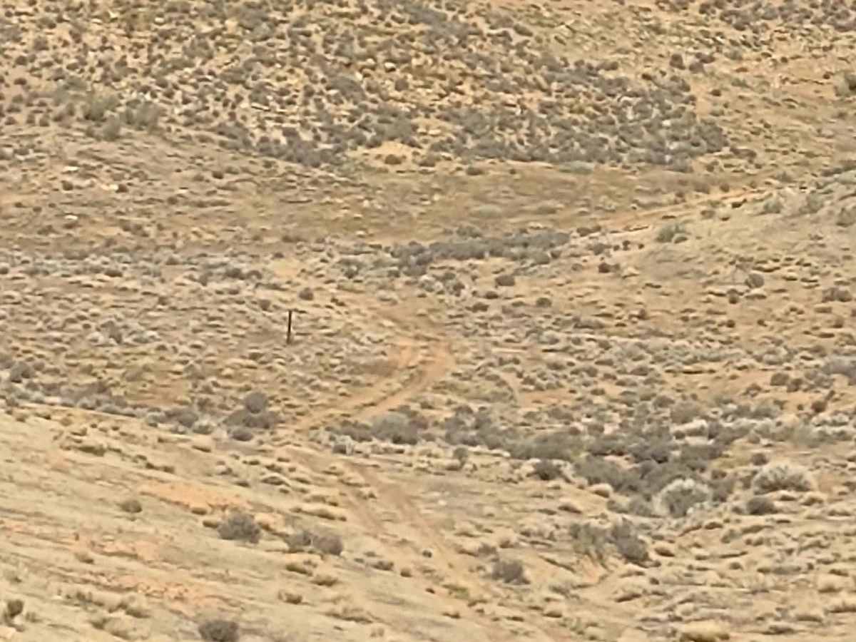 Yucca Way Spur photo 2