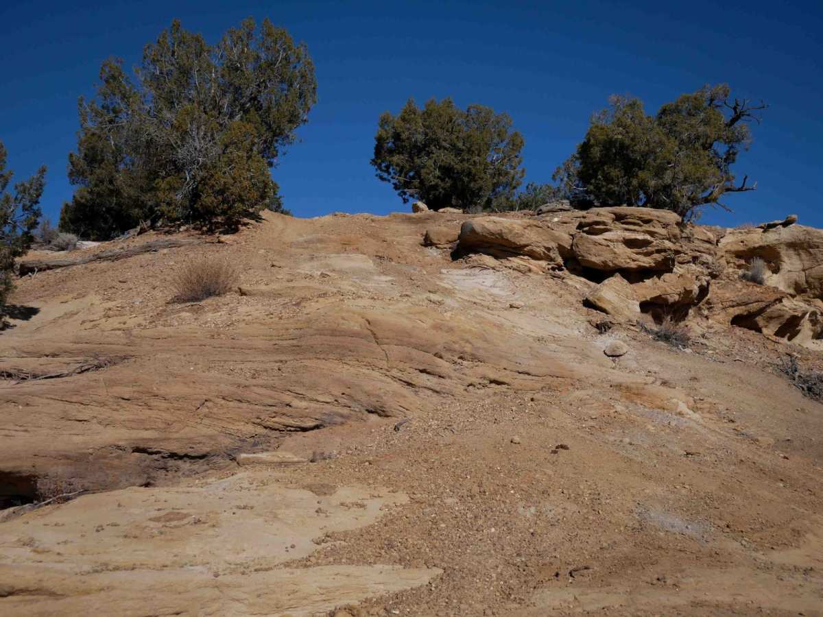 Arch Trail photo 5