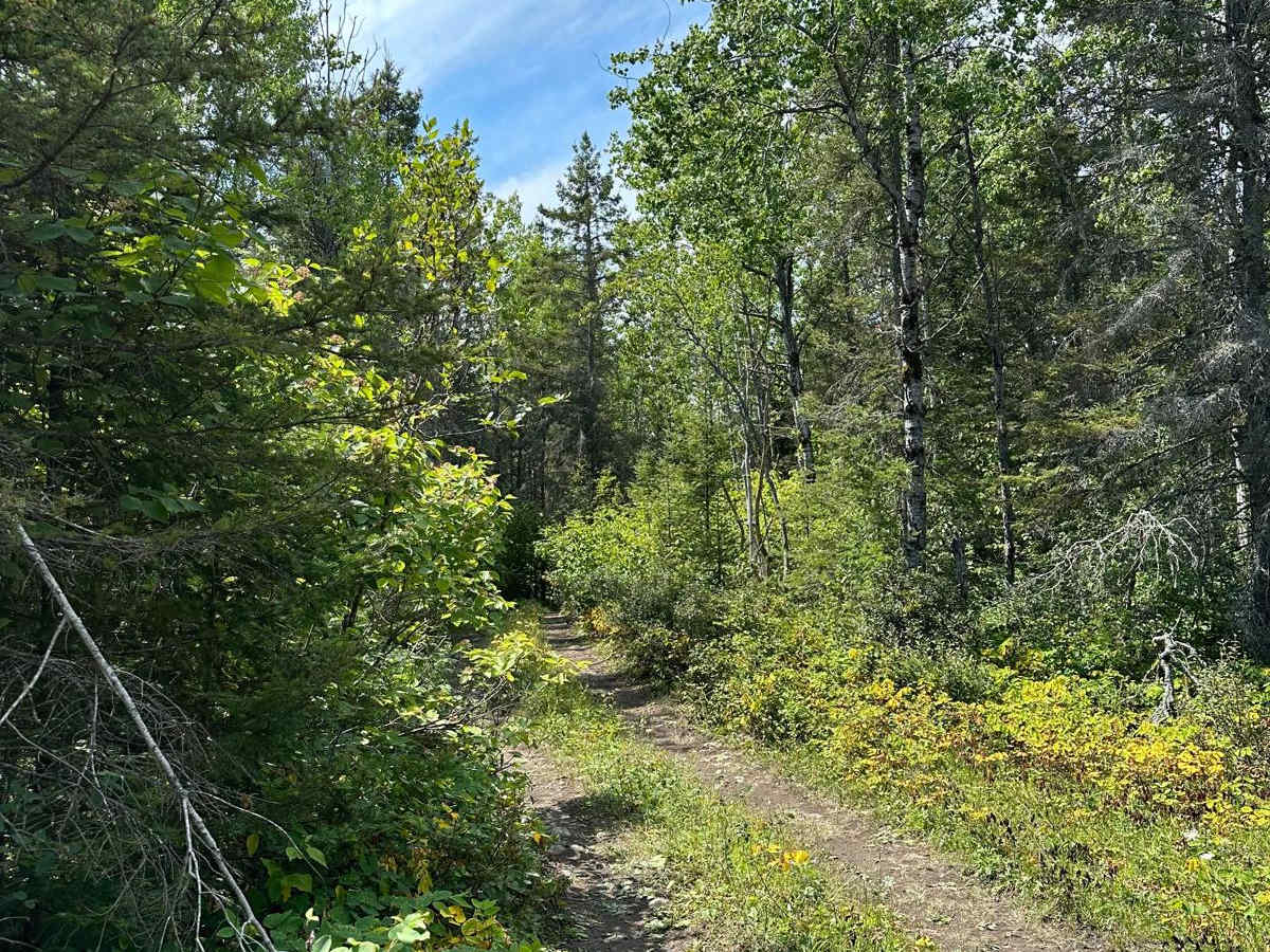 Fossil Ledge Loop photo 5