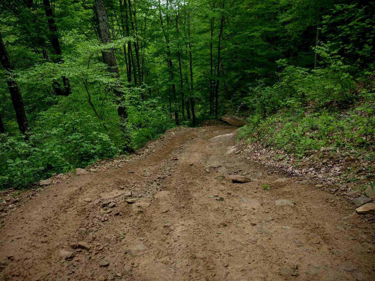 RH 25 trail photo