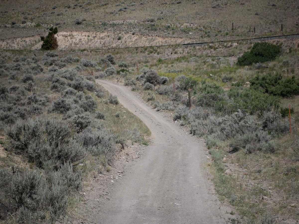 BLM 1 photo 4