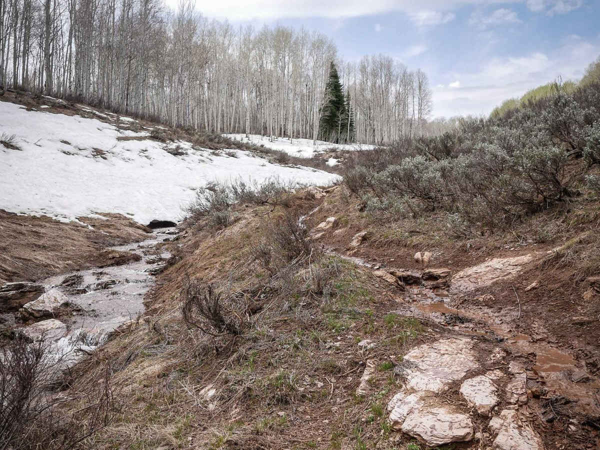 Rock Spring #083 photo 4