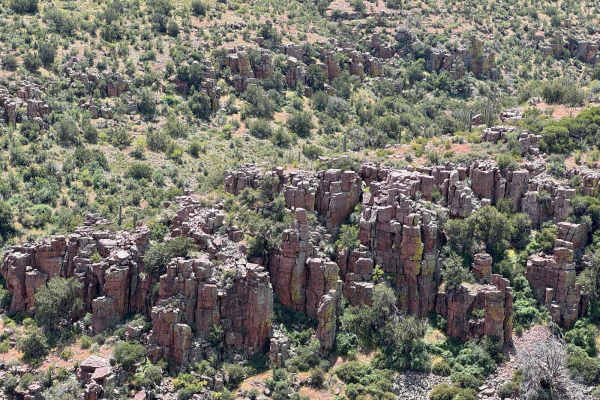 Cougar Canyon