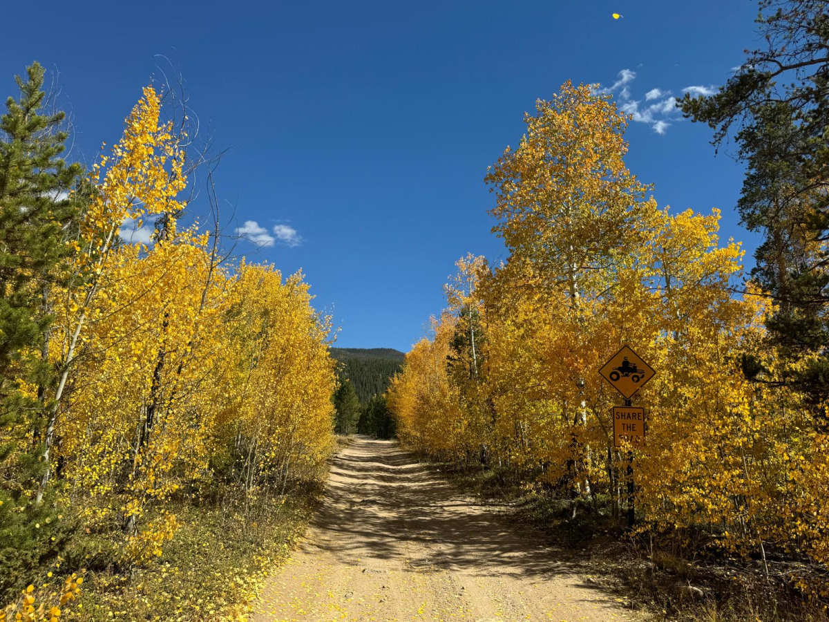 Frey Gulch Road photo 3