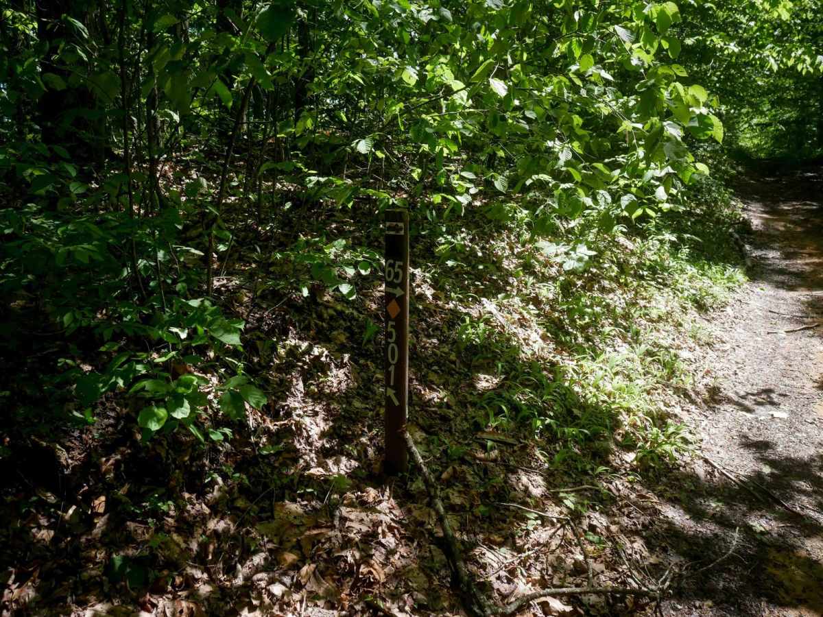 CC65 photo 5
