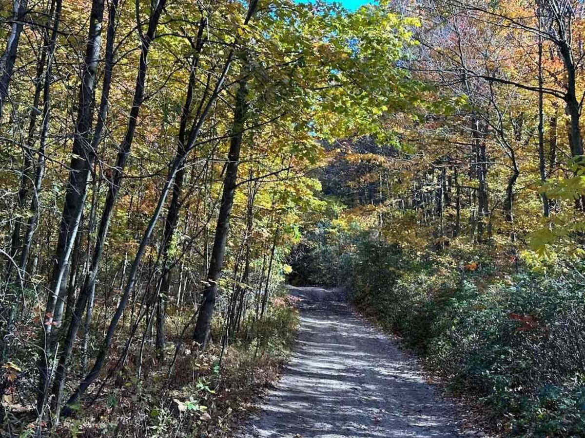 102 to Bootlegger C trail photo