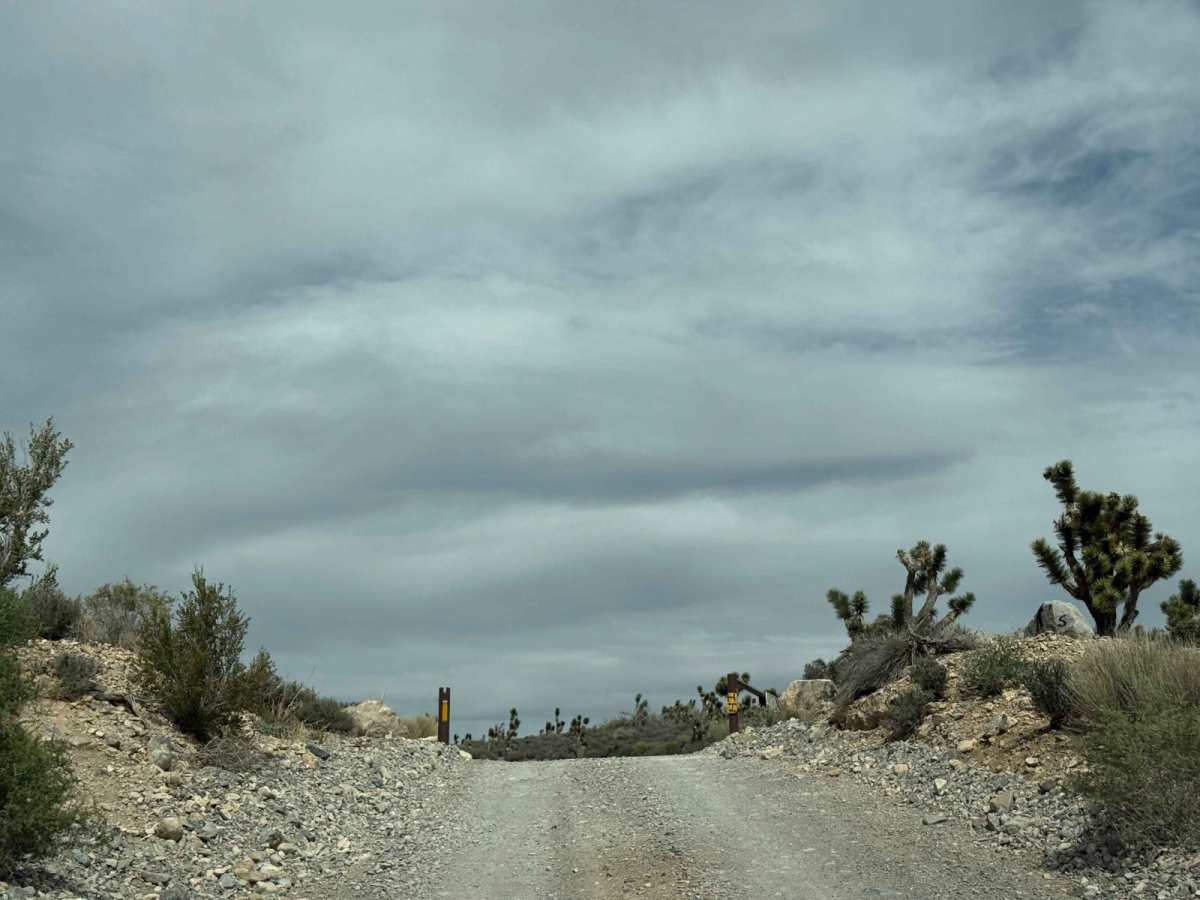 Harris Springs Cutoff Road photo 4