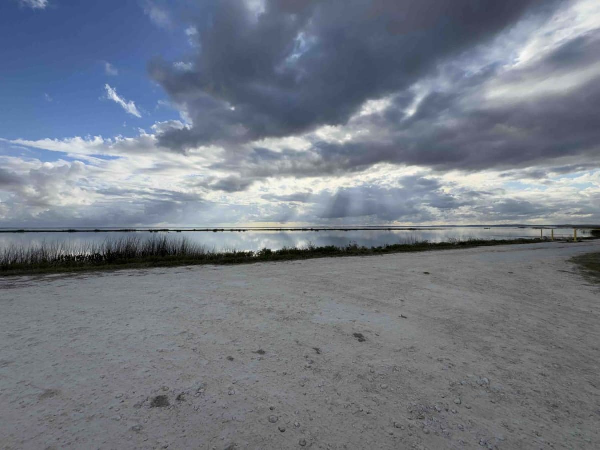Lake Apopka Wildlife Drive photo 6