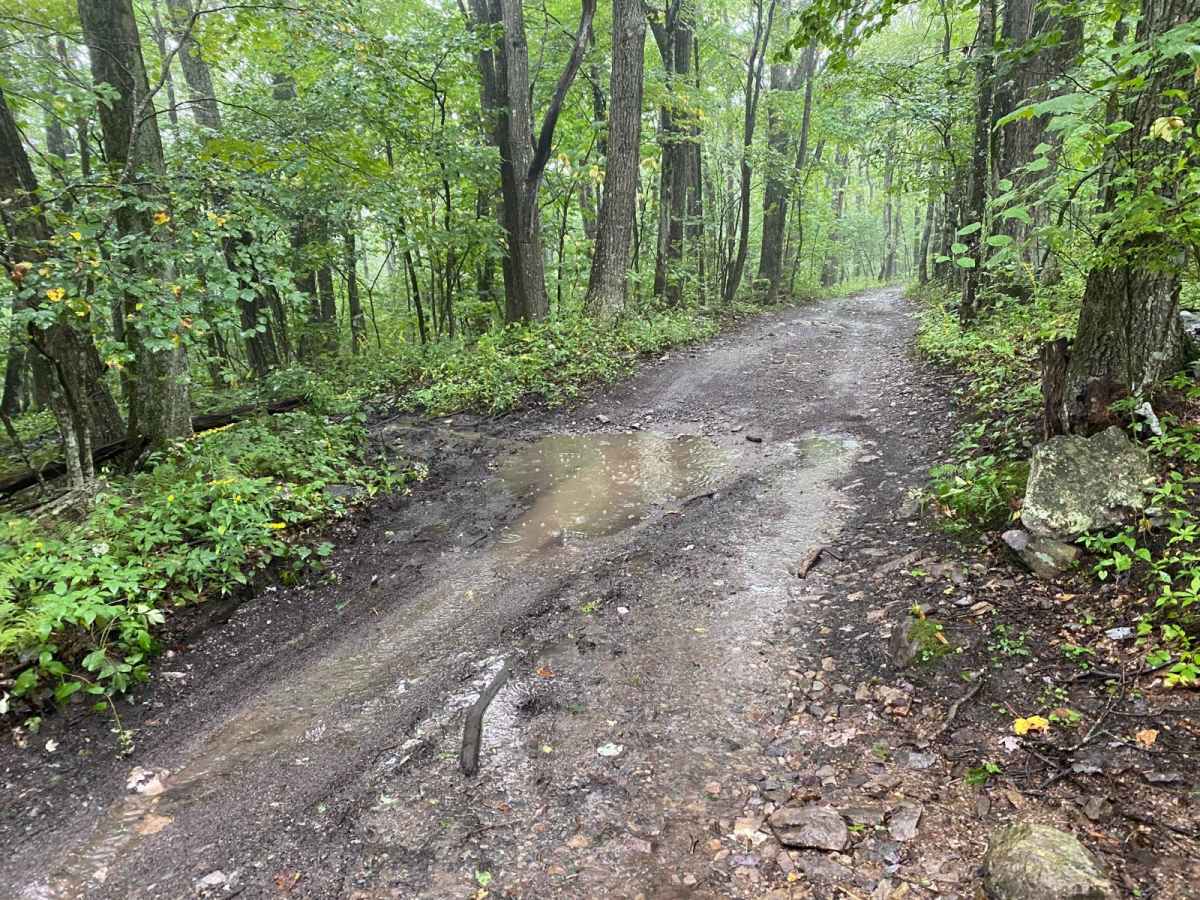 Pine Mountain photo 4