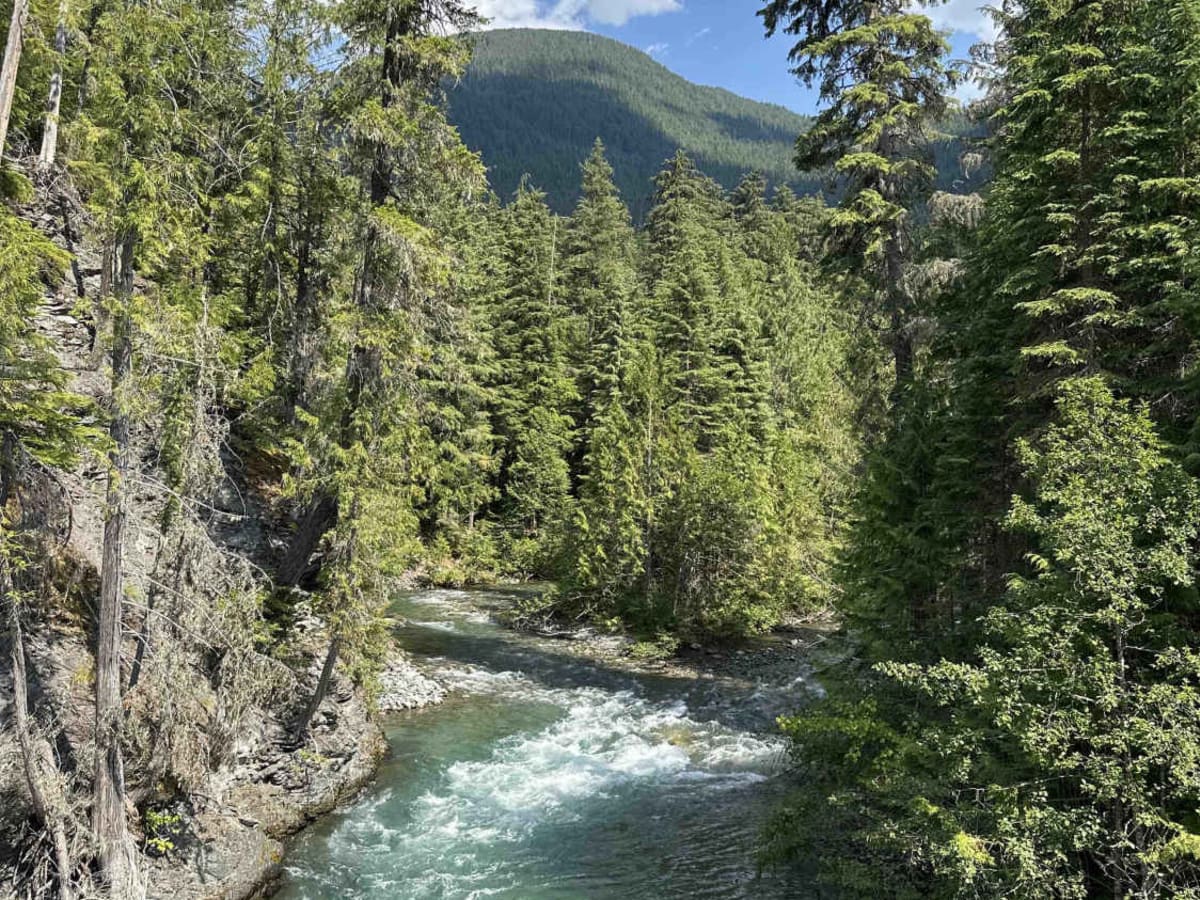 Wilson Creek photo 4