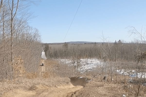 Portage Lake Fire Tower Trail
