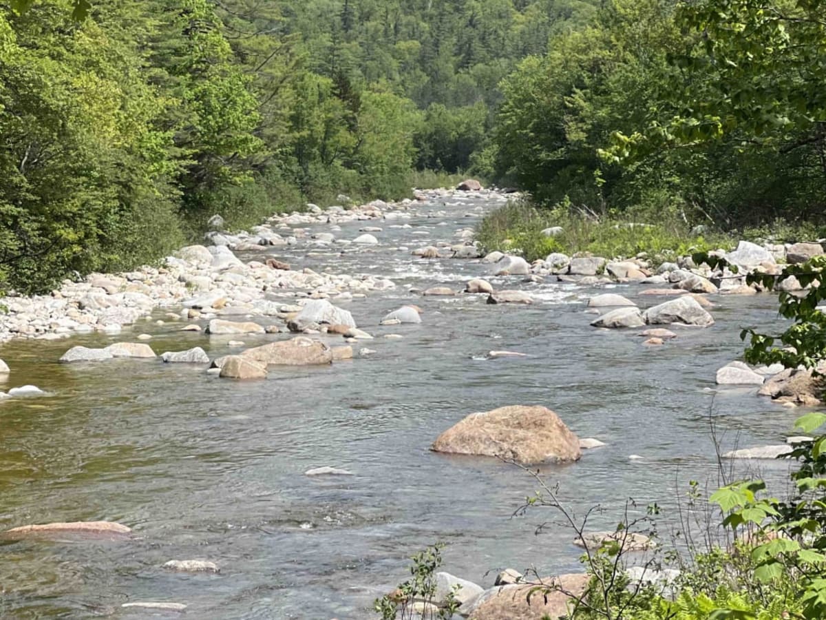 Wild River Road photo 3