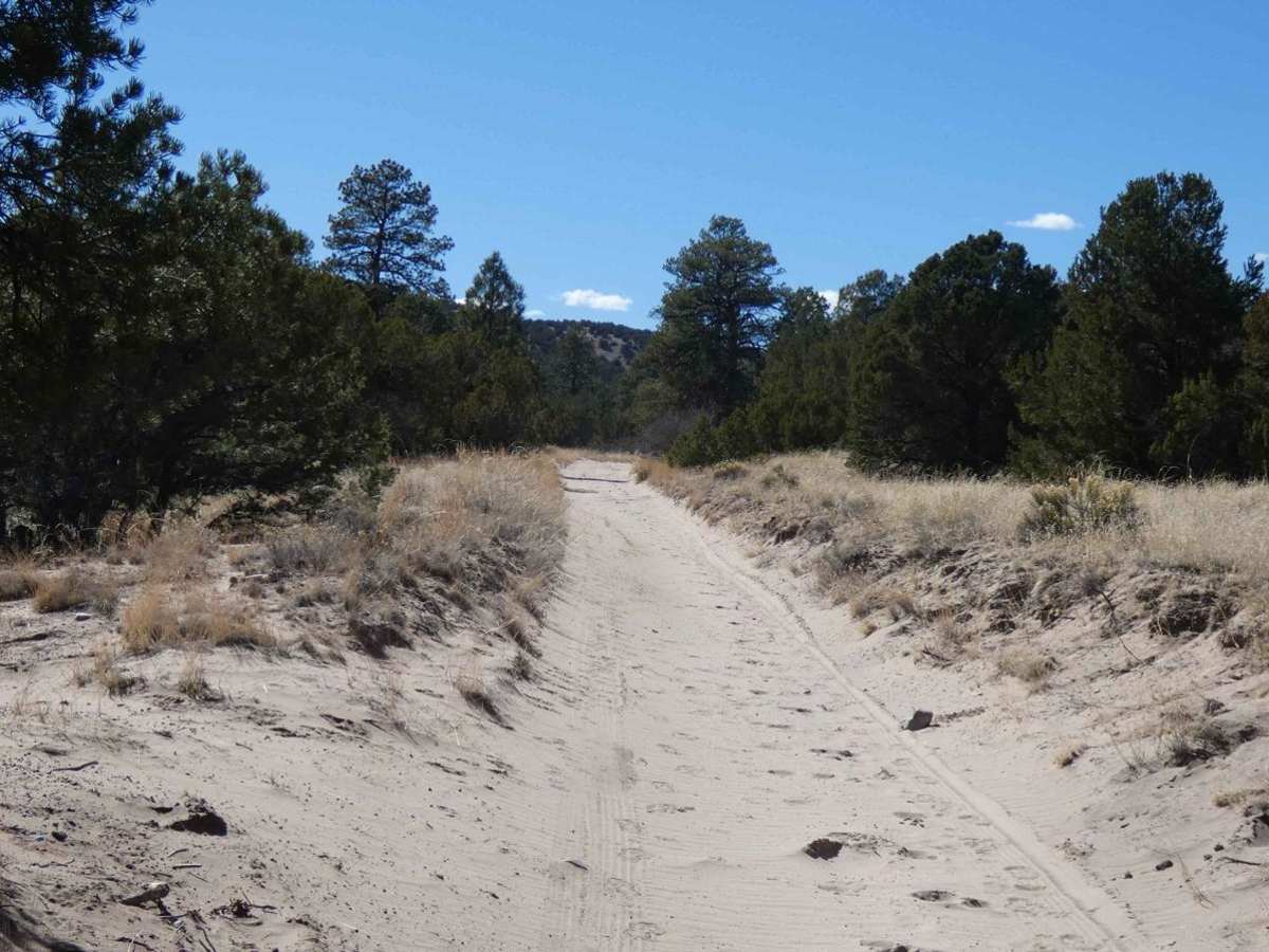 Devils Ridge photo 3