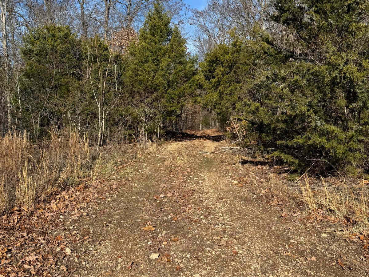 Green 326 trail photo