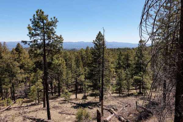 Signal Peak Road - FS 154