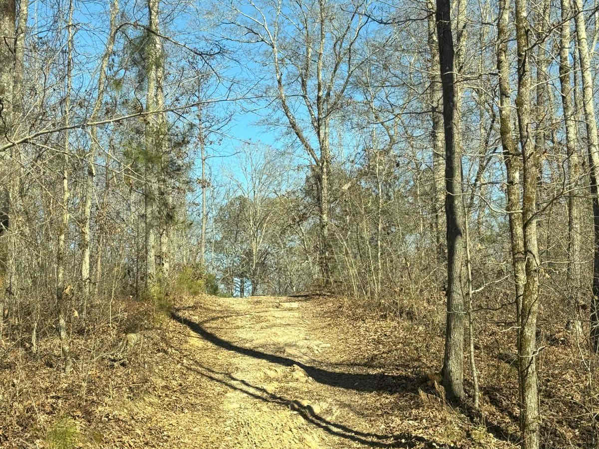 Creek Trail Bypass photo 3