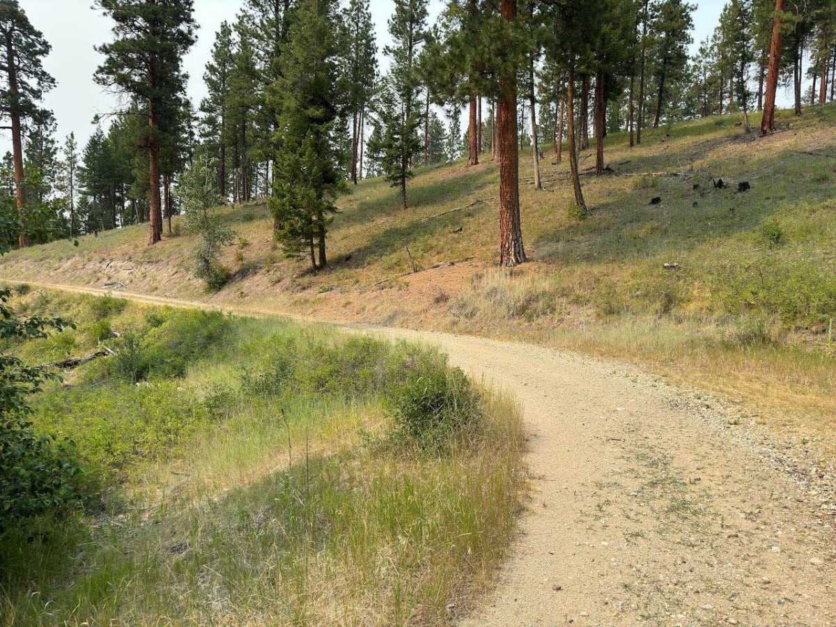 Highway Connection 106A photo 5