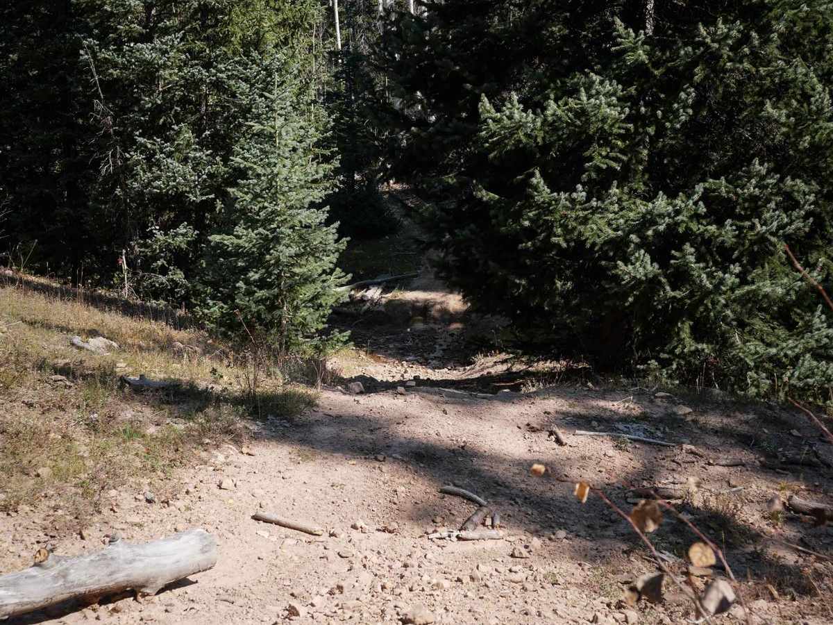 East Fork Dry Creek ATV Trail photo 3