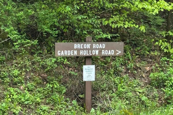 Breon Road