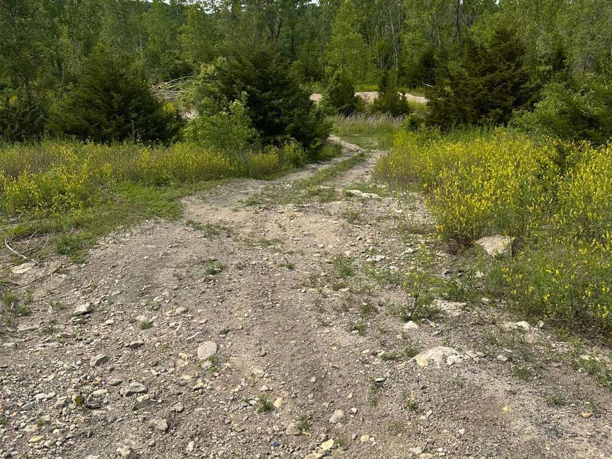 Green 27 trail photo