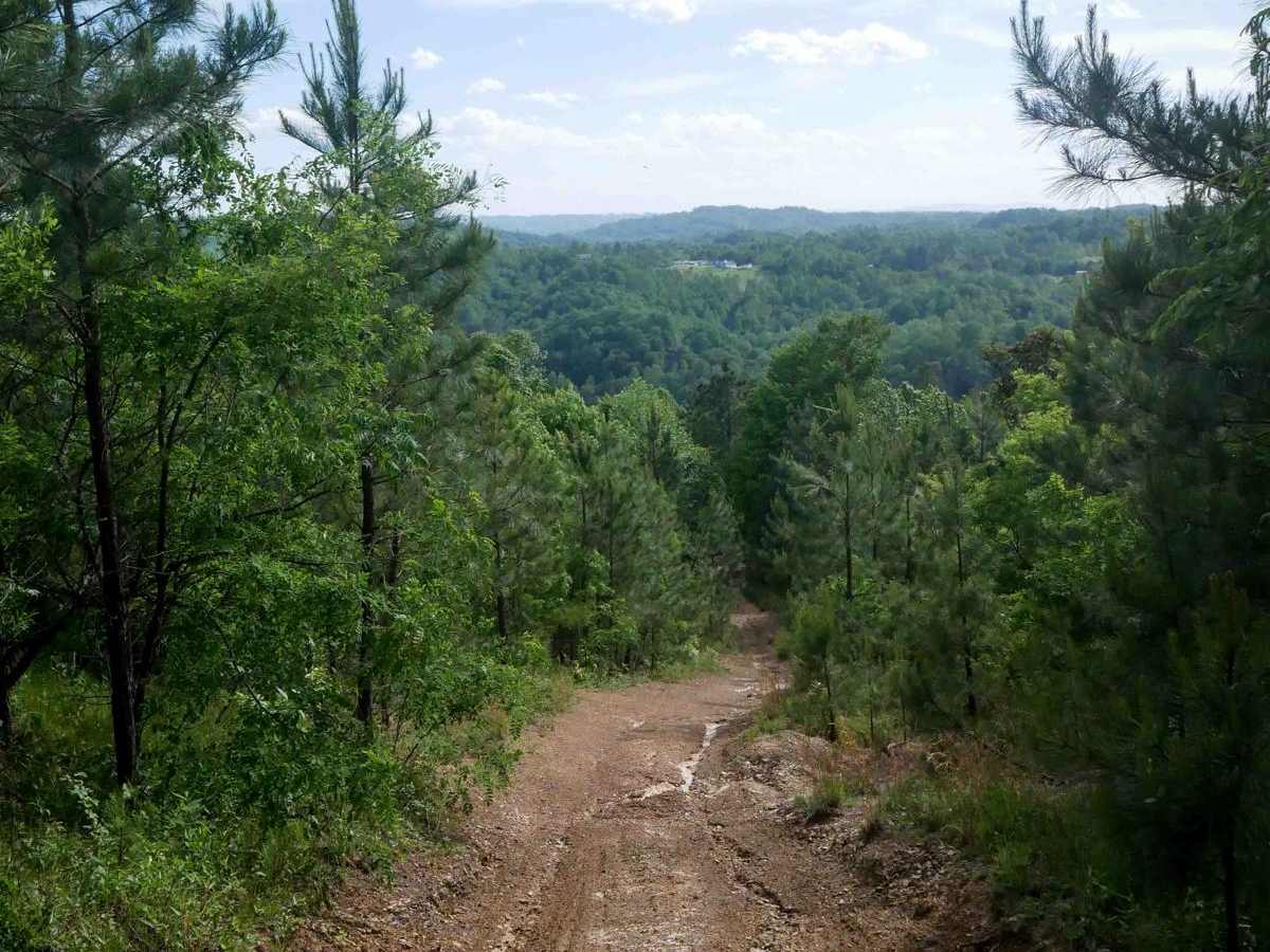 RV26 trail photo