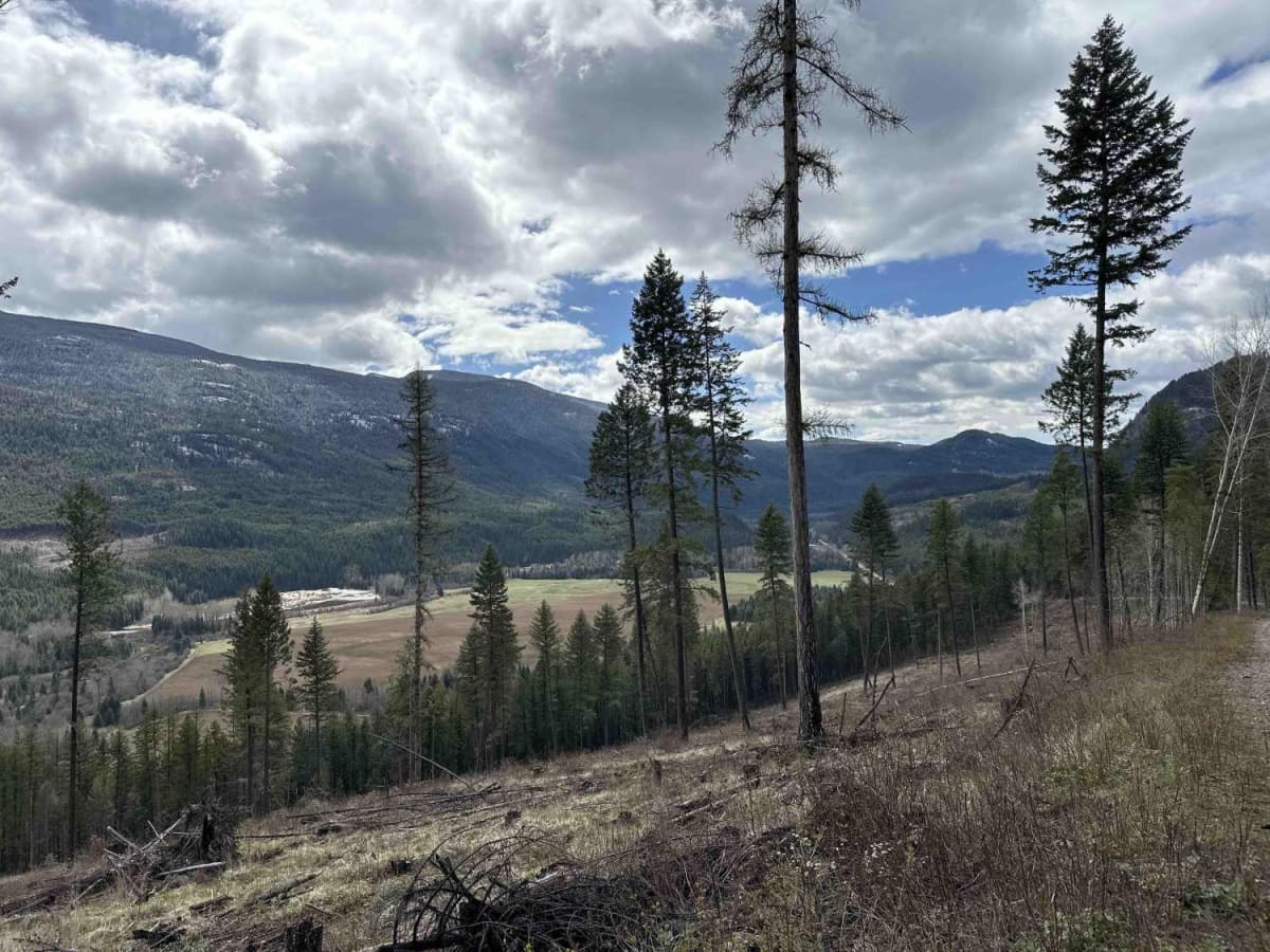 State Creek FSR photo 2