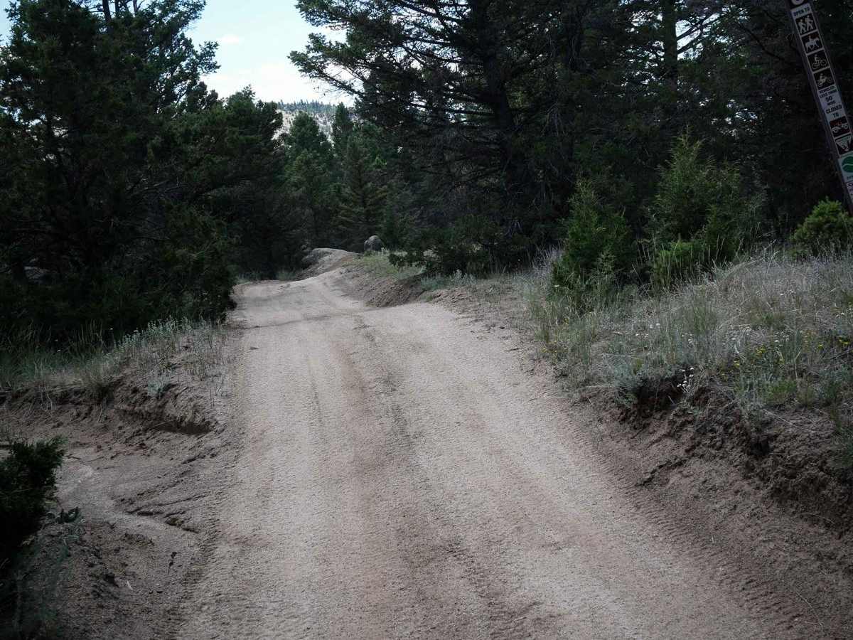 BLM 8 photo 4